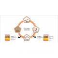 Palmitoil pentapéptido-4 /acetato de matrixilo CAS 214047-00-4